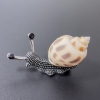 Broche-colgante Caracol blanco con marrón, en metal plateado, 53×26 mm ±, strass negros