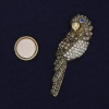 Broche magnético de loro con cristales y metal dorado 54×17 mm+