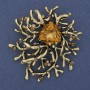Broche-colgante «Acento»