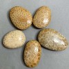 Colgante de coral fosilizado 40-55 × 30-40 mm ± surtido de tamaños