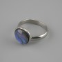 Pendiente de Haliotis 12 mm ±, acabado en metal plateado